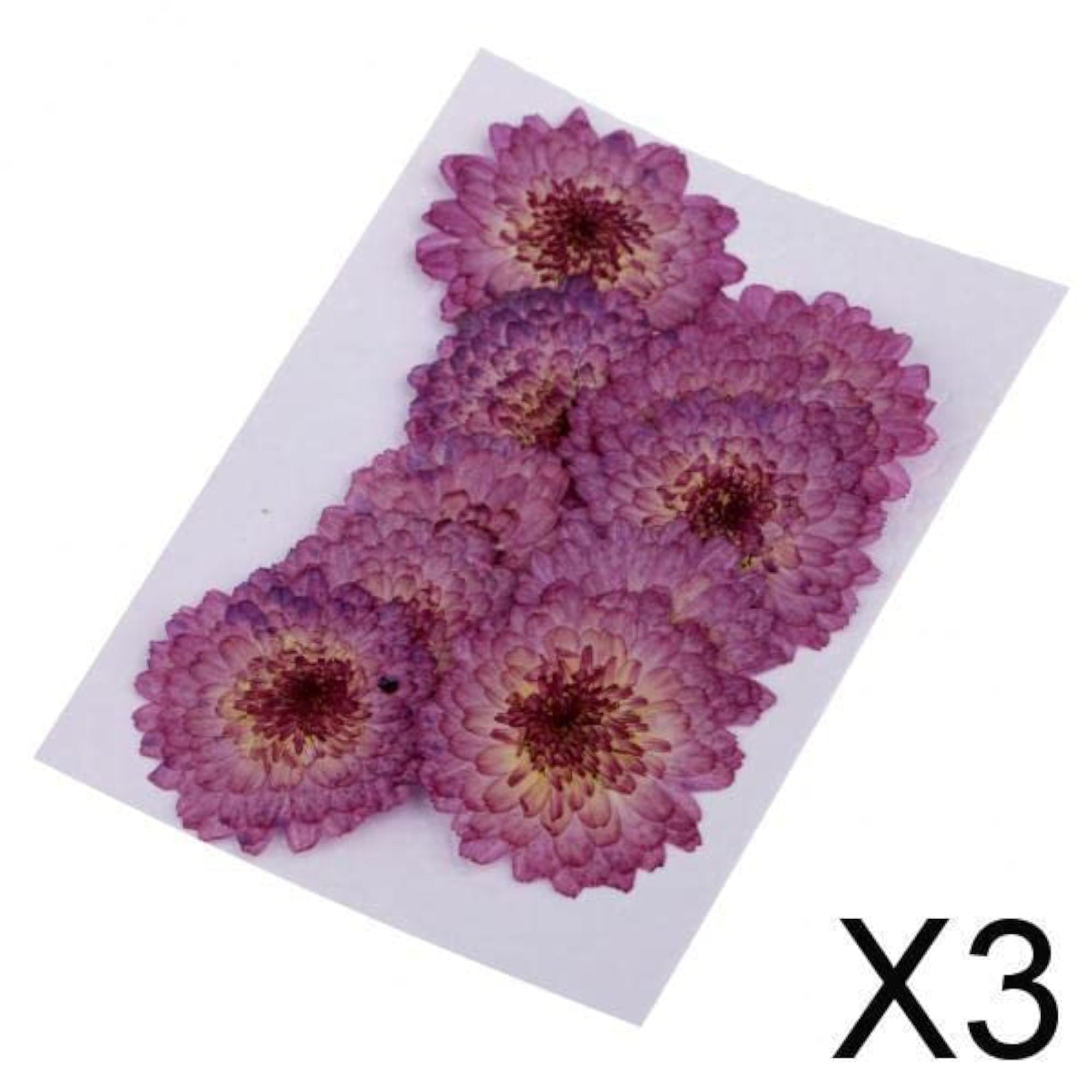 3x10 Pcs Dried Pressed Flowers for Scrapbooking